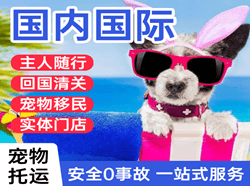 昌都邦达机场物流国际宠物托运 【国